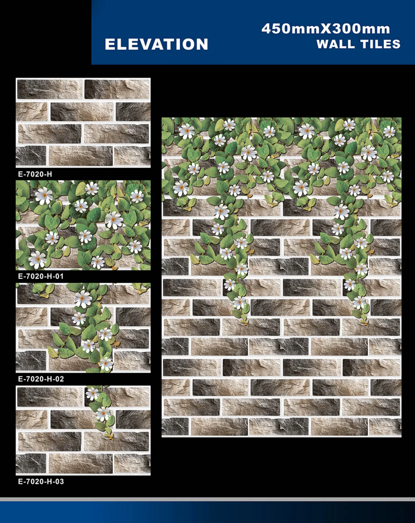 12 X 18 Elevation E 5996 To E 7027 56