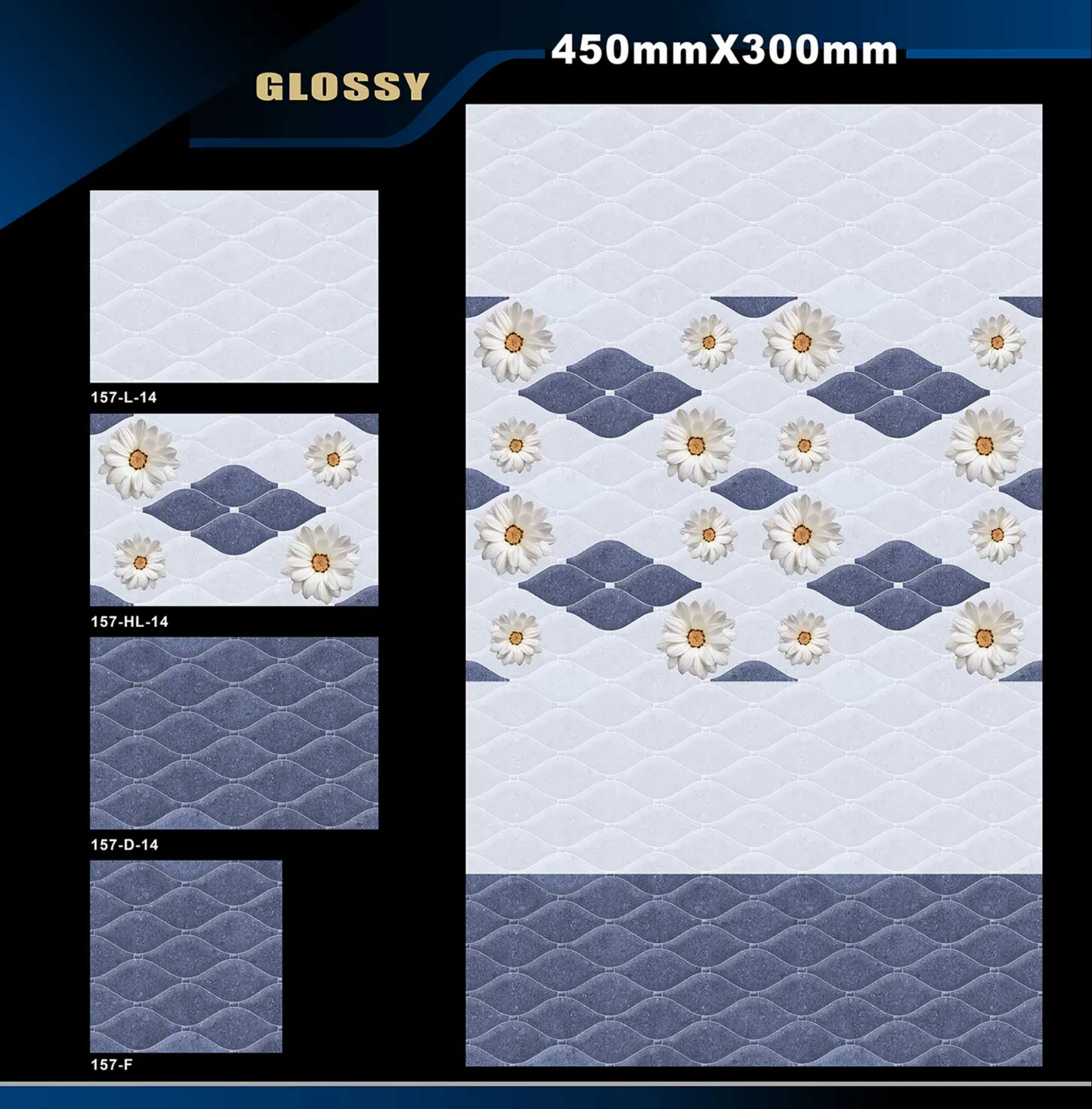 12 X 18 Glossy 105 To 316 6