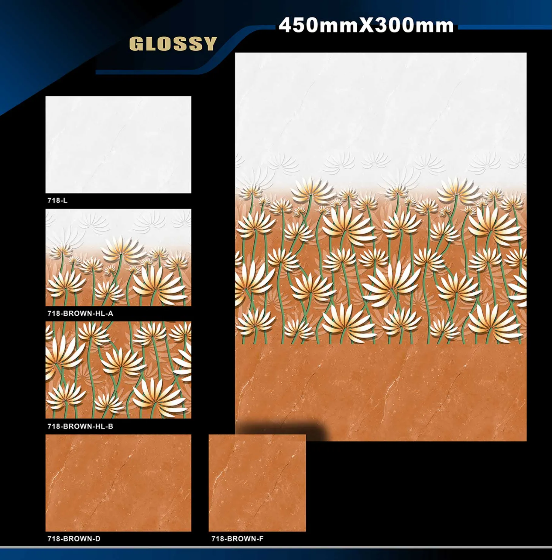 12 X 18 Glossy 711 To 764 19