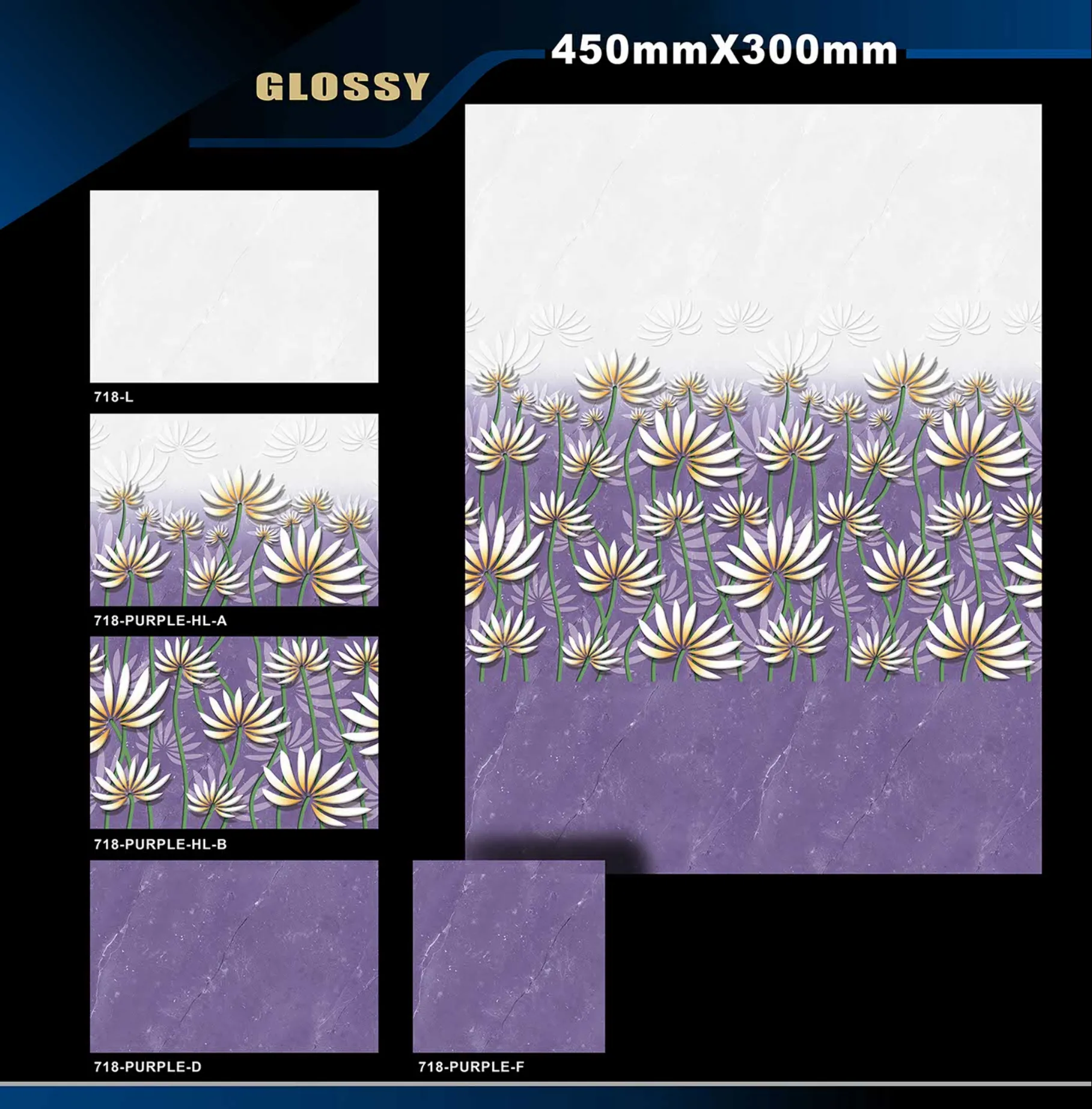 12 X 18 Glossy 711 To 764 20