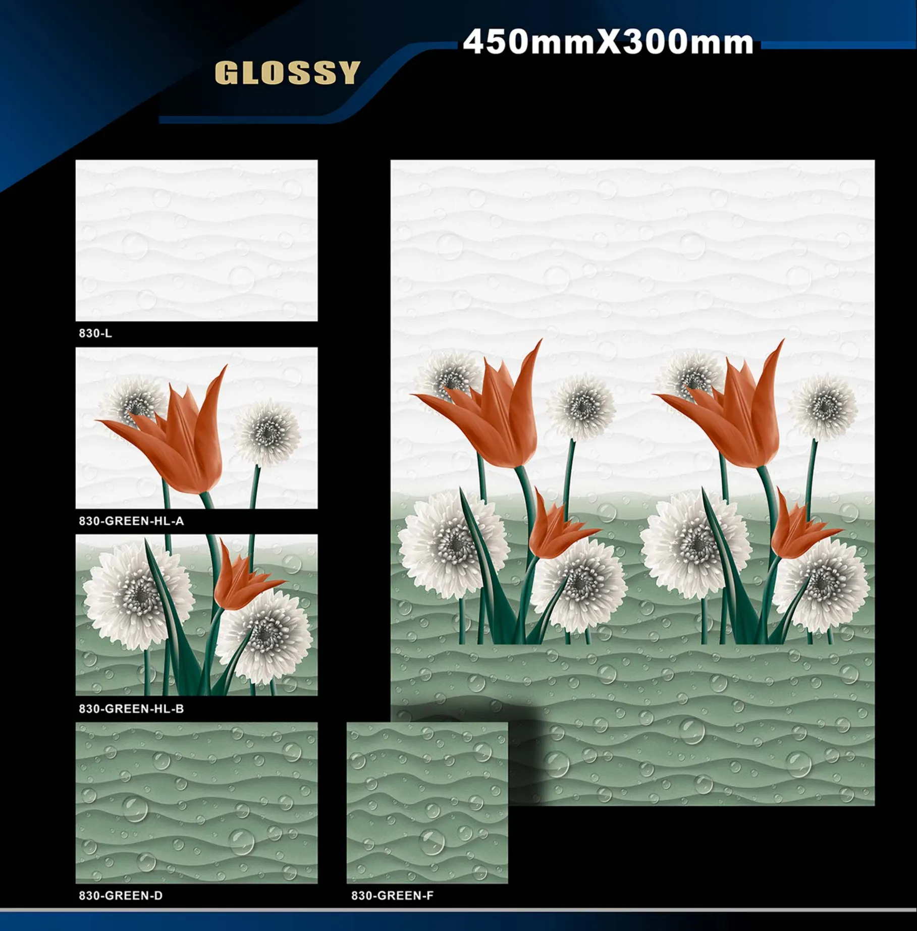 12 X 18 Glossy 829 To 898 2