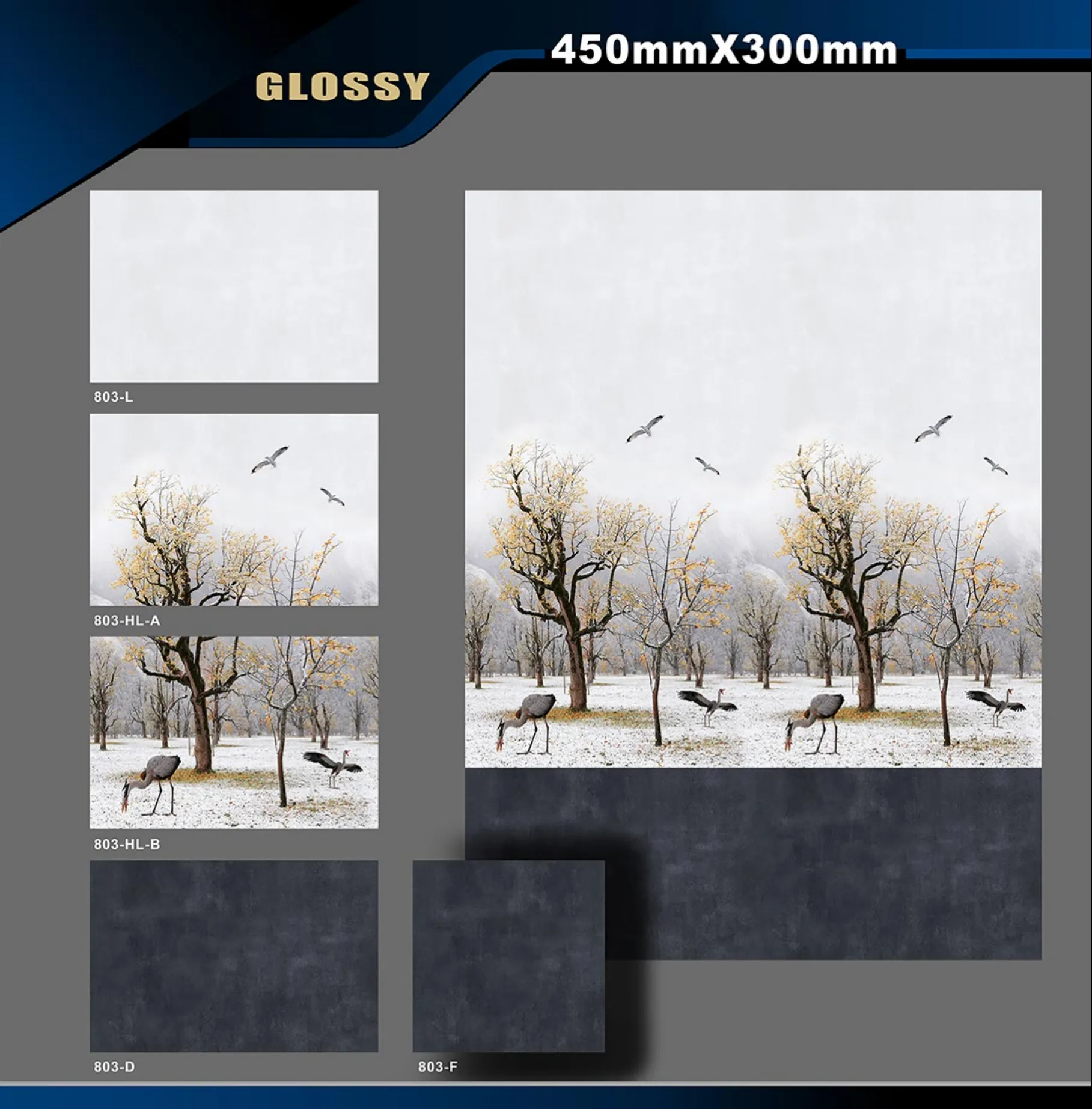 12 X 18 Glossy Poster 64