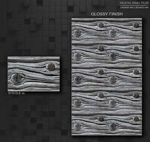 12x18 ELE GL 2 4