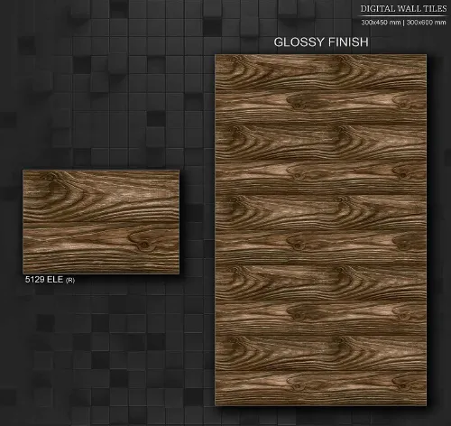 12x18 ELE GL 2 13