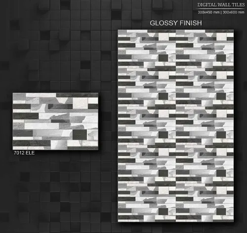 12x18 ELE GL 2 51