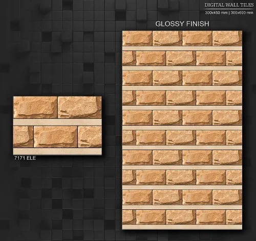 12x18 ELE GL 5 51