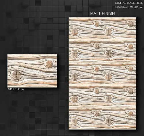 12x18 ELE MATT 1 37