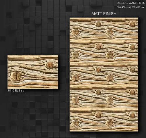 12x18 ELE MATT 1 38