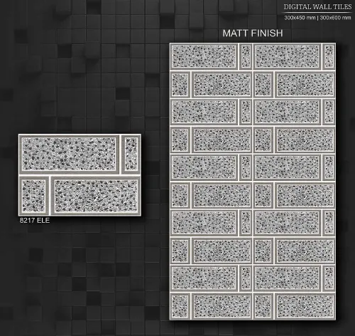 12x18 ELE MATT 2 29