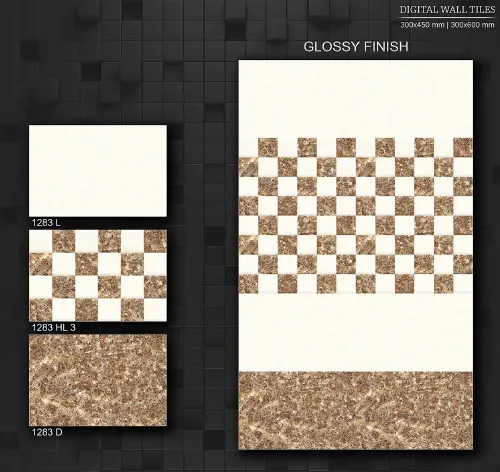 12x18 Glossy 5 17