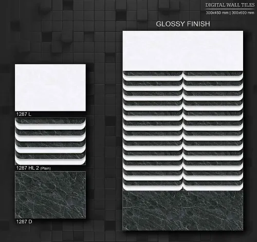 12x18 Glossy 5 24