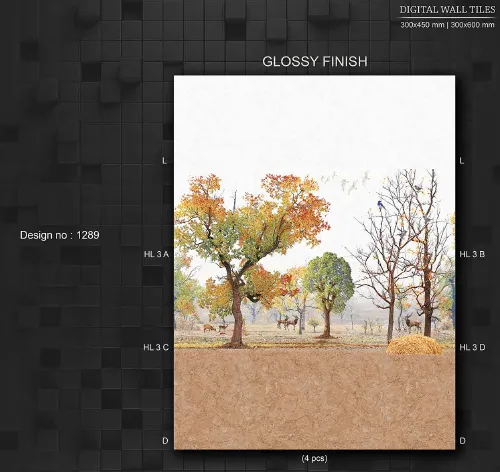 12x18 Glossy 5 29