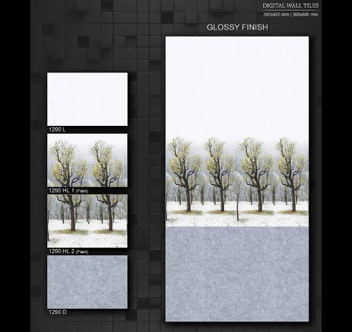 12x18 Glossy 5 30