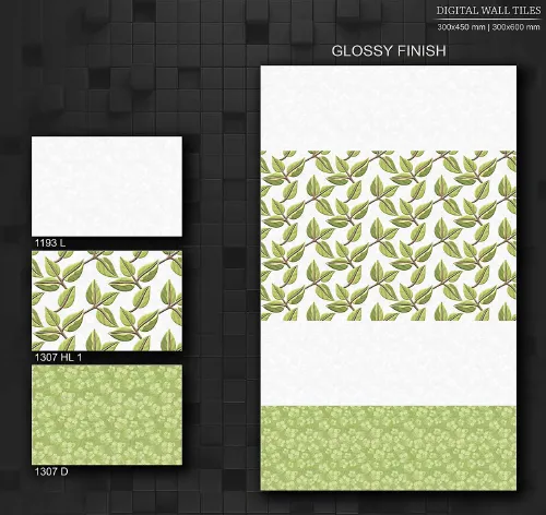 12x18 Glossy 5 62