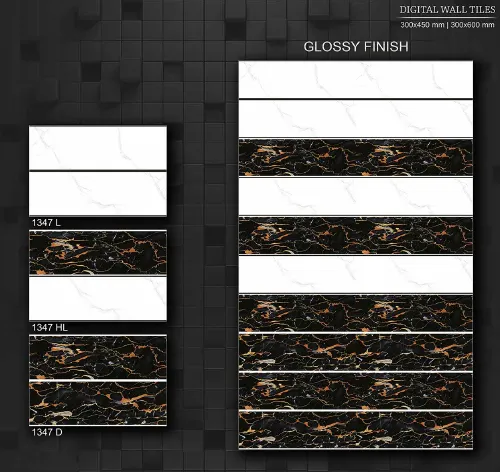 12x18 Glossy 6 47