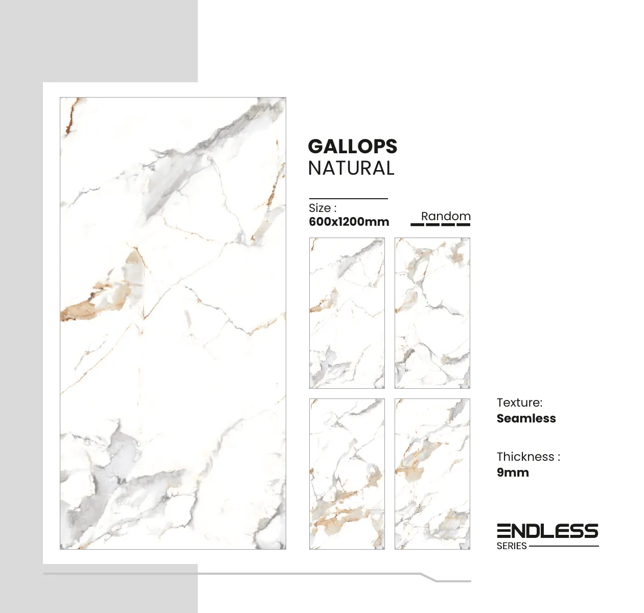 Endless Series Catalouge 14