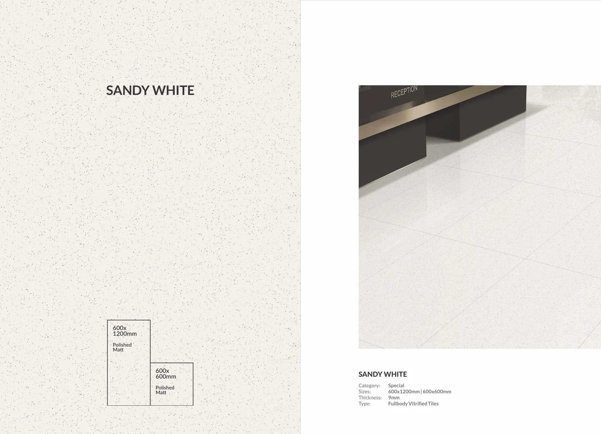 Ex sandy series 60x120cm,60x60cm 44