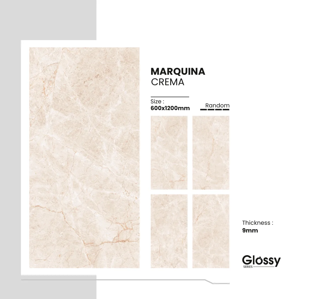 Glossy Series Catalogue 102