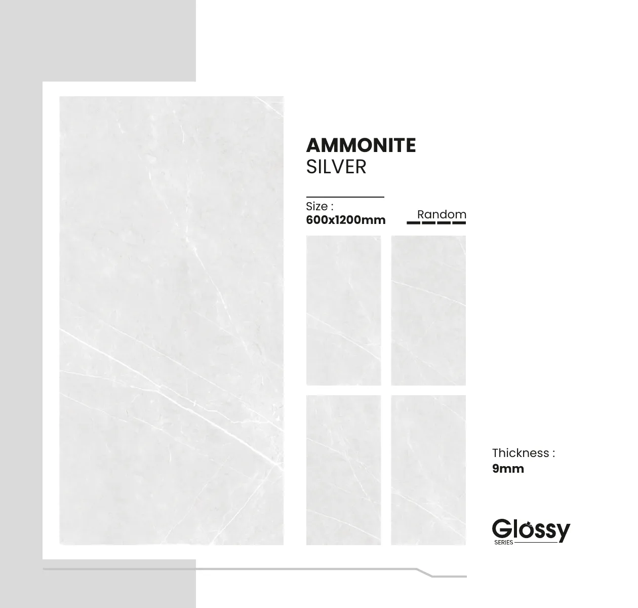 Glossy Series Catalogue 11