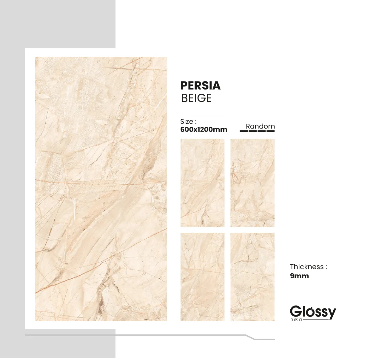 Glossy Series Catalogue 119