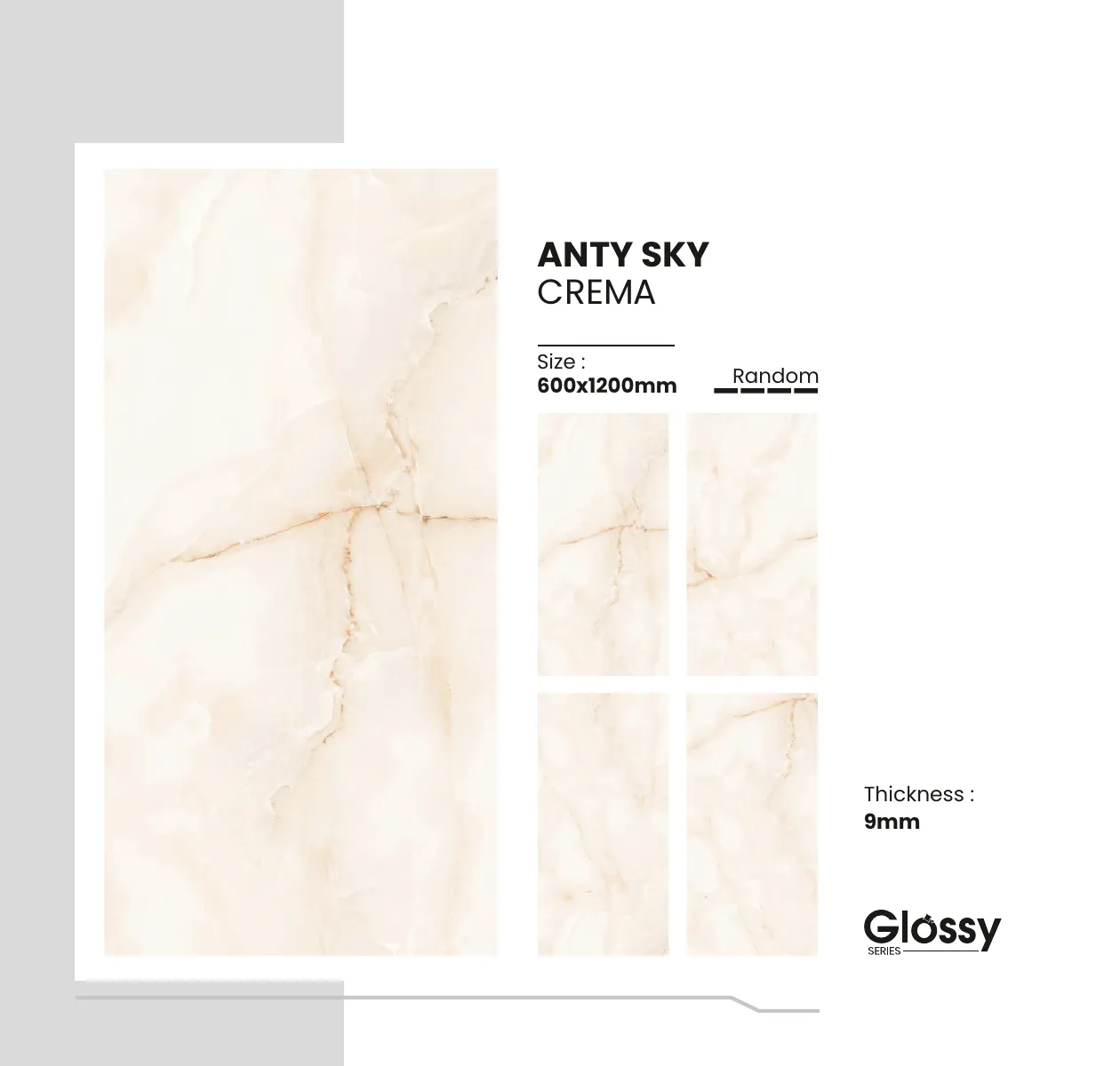 Glossy Series Catalogue 12