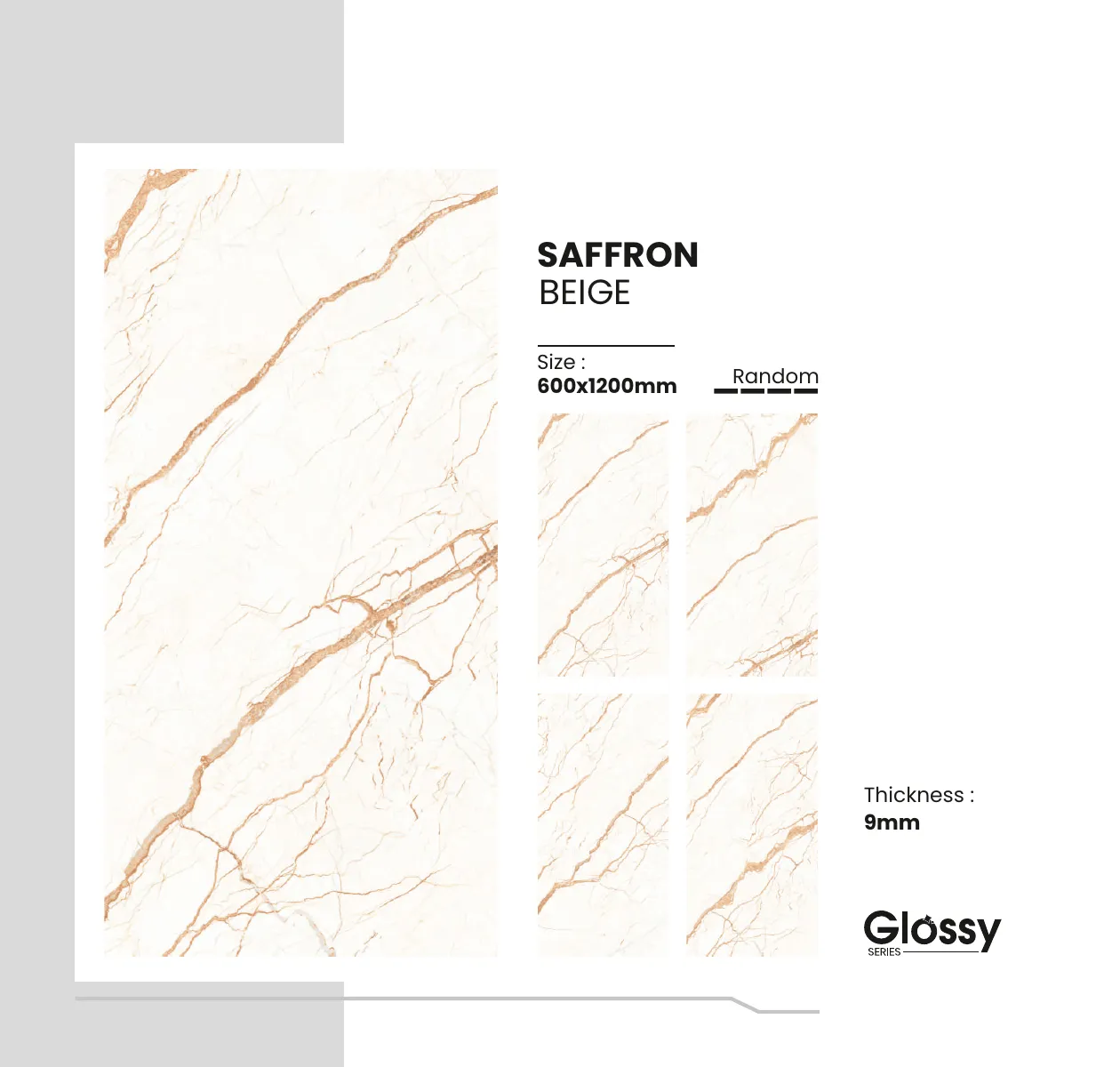 Glossy Series Catalogue 144