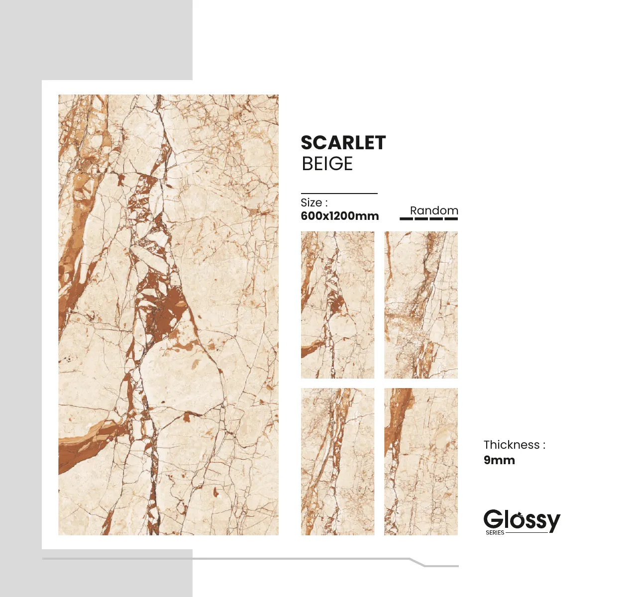 Glossy Series Catalogue 145
