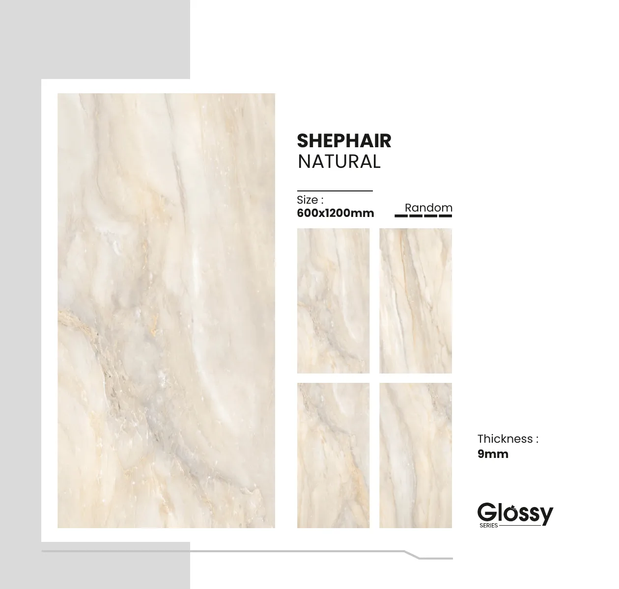 Glossy Series Catalogue 146
