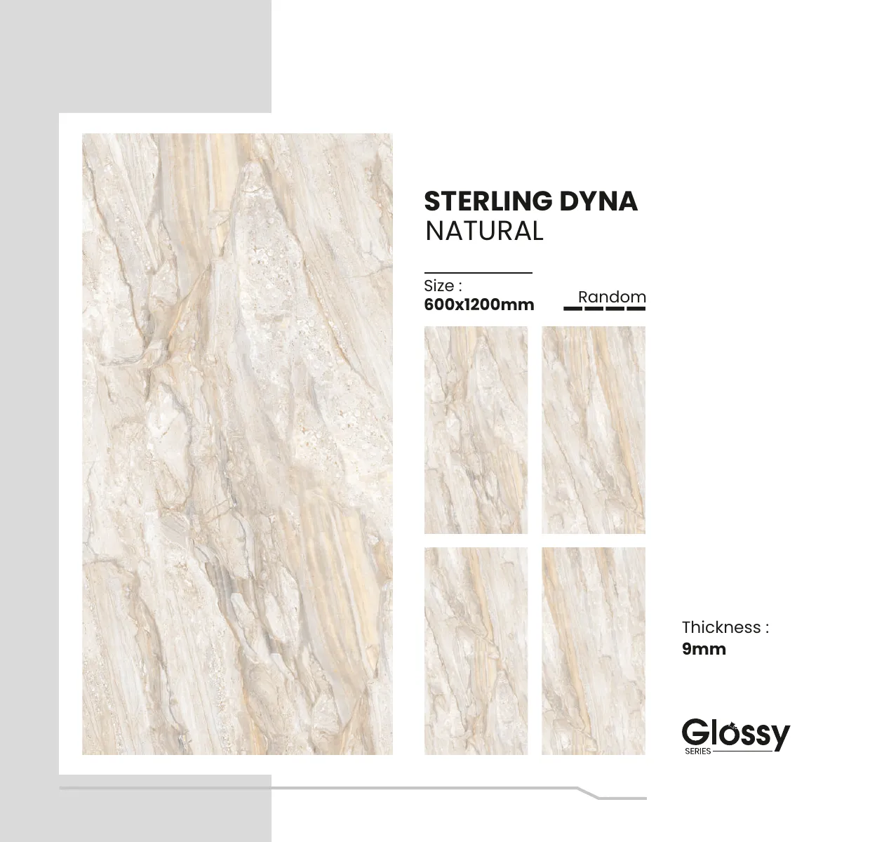 Glossy Series Catalogue 160