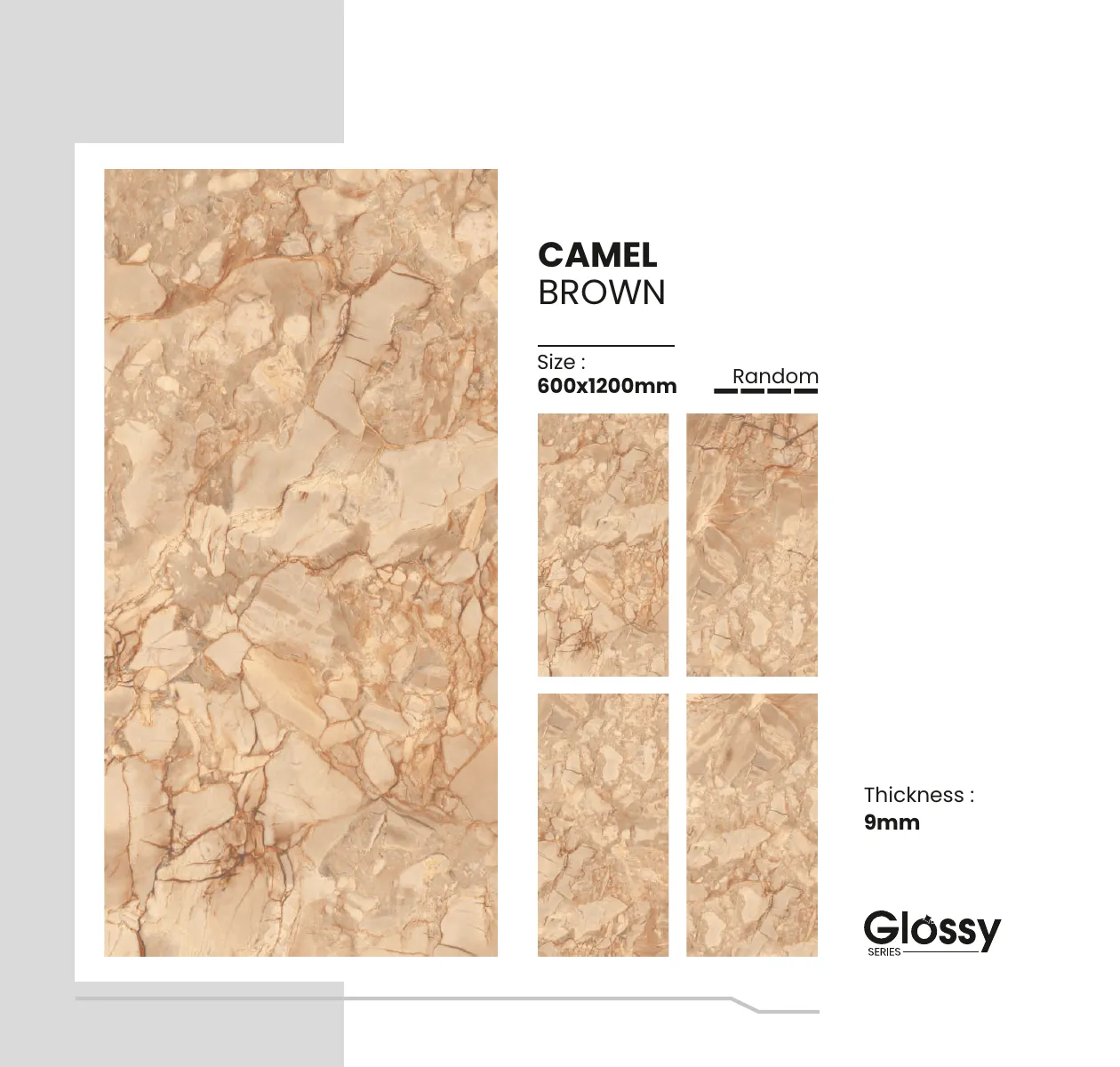 Glossy Series Catalogue 40