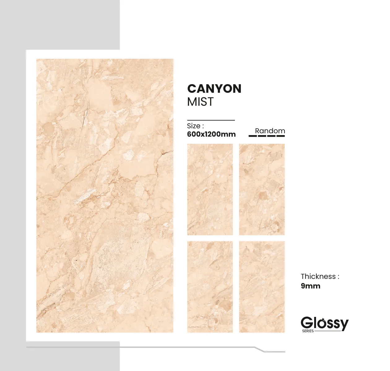 Glossy Series Catalogue 43