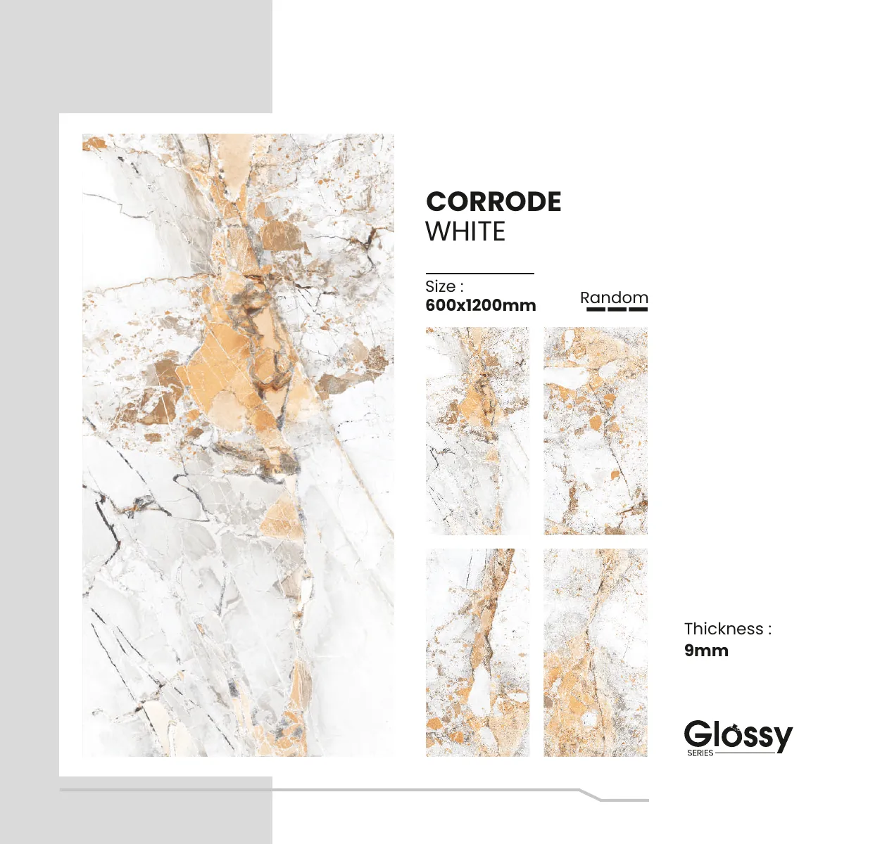 Glossy Series Catalogue 49