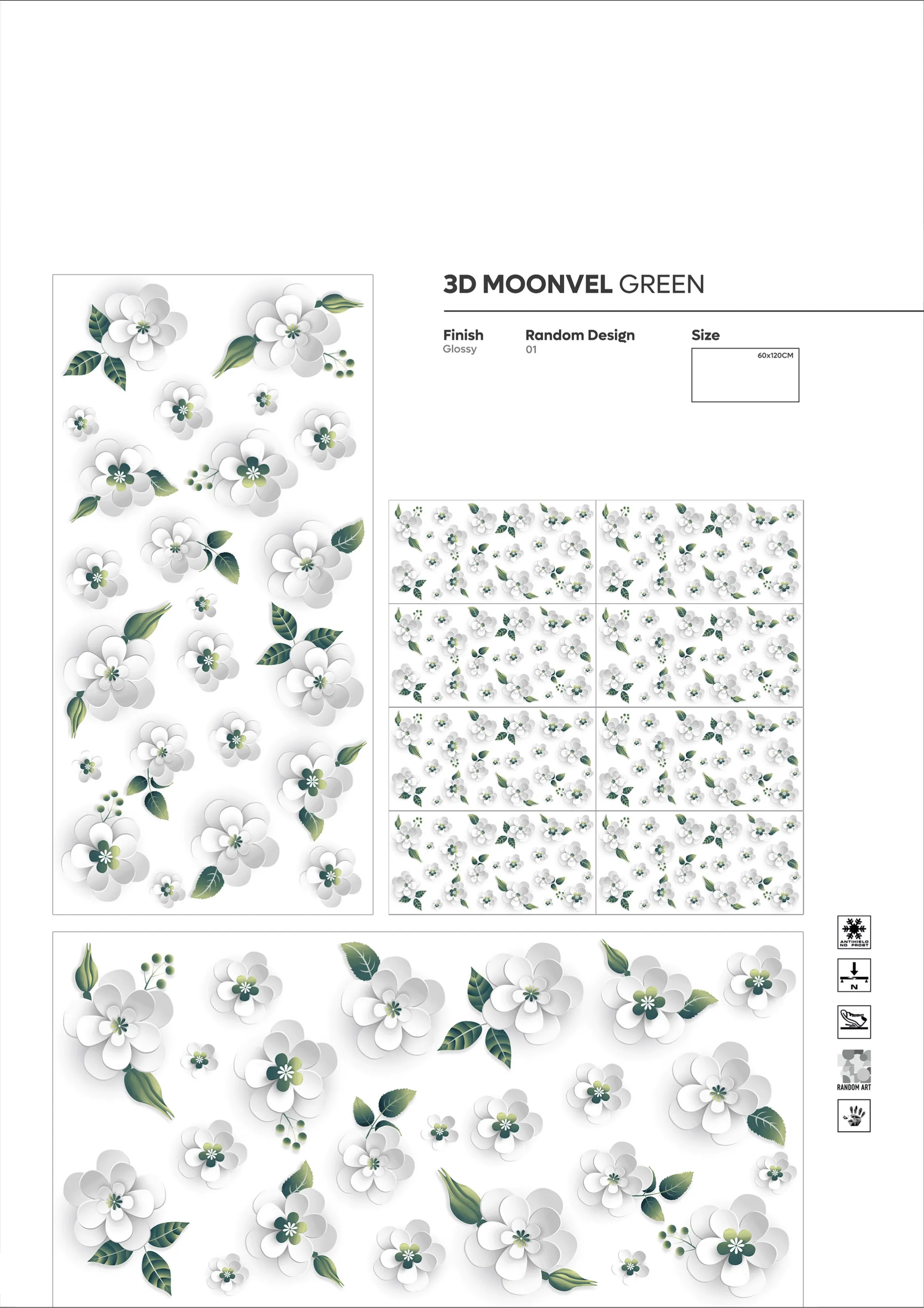 NEW COLLECTION 50